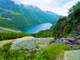 natur und umwelt