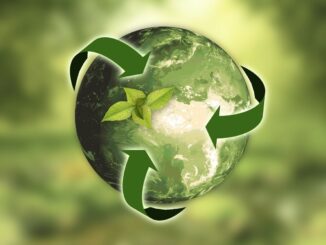 Grüne Weltkugel: Sorgen Sie für mehr Umweltschutz und Nachhaltigkeit, indem Sie in nachhaltige Geldanlagen investieren!